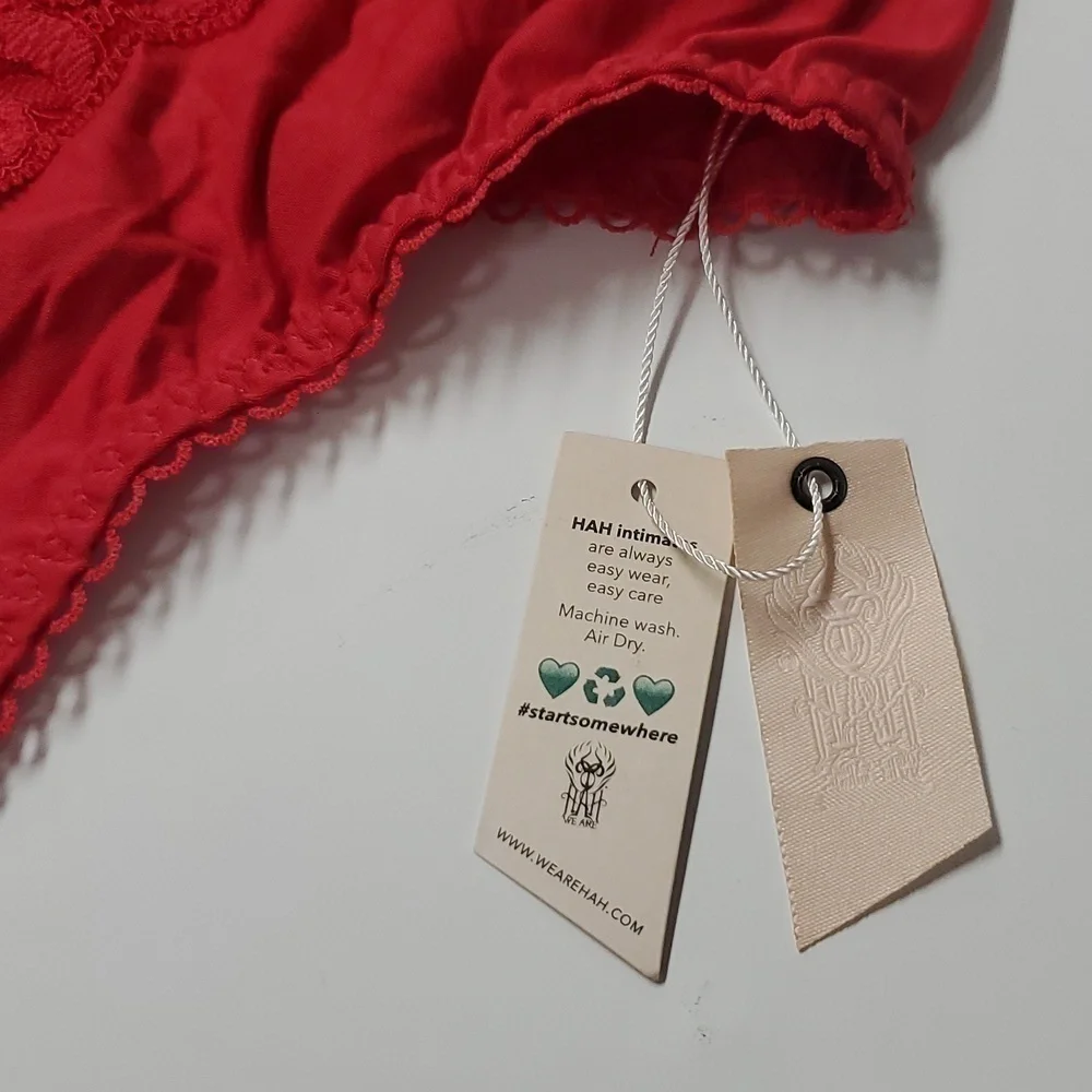 Revolve HAH | NWT Lady Like Lace Bodysuit in Rouge - Picture 6 of 6